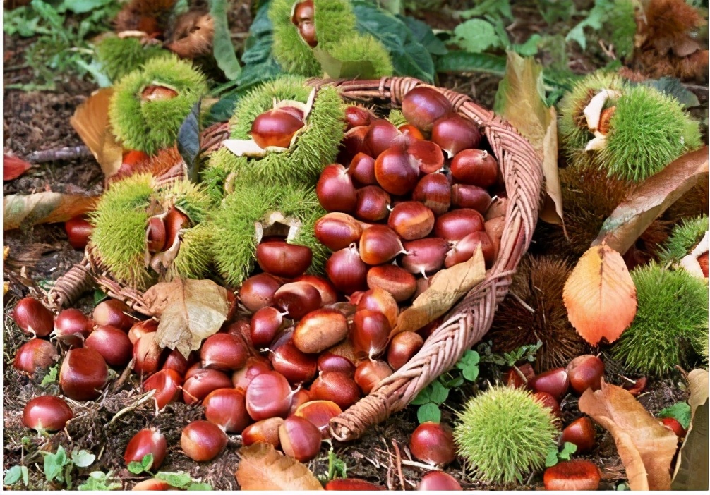 一夜狂赚200万！中国最土网红店，为啥能火上央视？