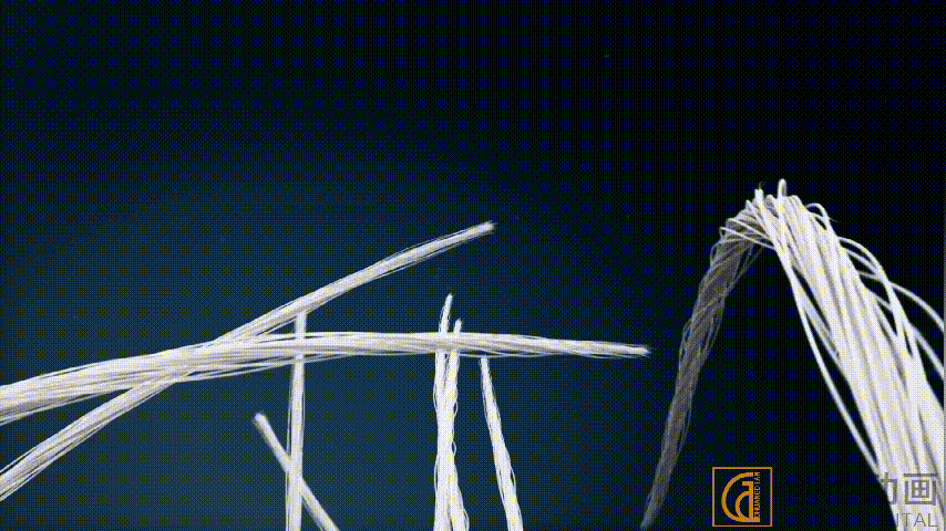 内裤动画宣传片能有多吸引人？你绝对想不到