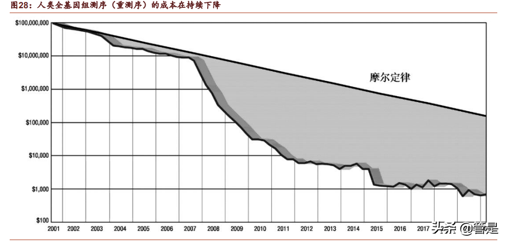 华大智造专题研究