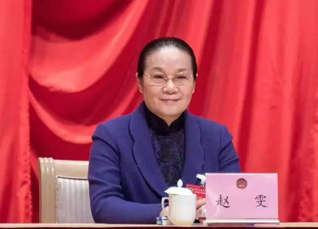 她主动辞去上海市副部级领导职务