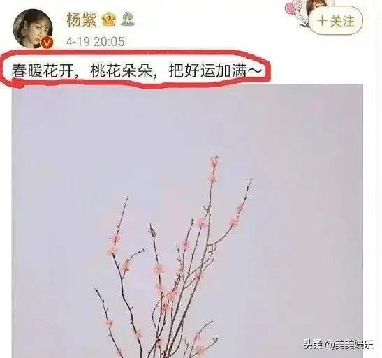 某网友爆料：张艺兴和杨紫在一起了？