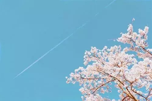 简单安静平淡的生活的句子 放开执念,随缘是最好的生活图片