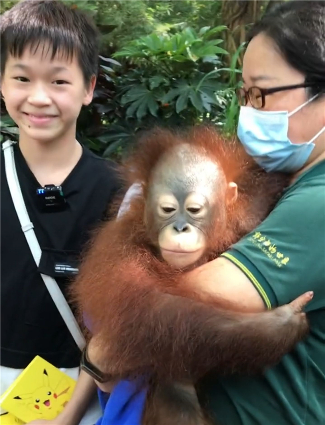 全红婵第一次去动物园！老虎隔着玻璃向她扑来，红姐吓了一跳：哇