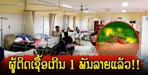 危险！在老挝已有1000多例登革热，已有一人死亡
