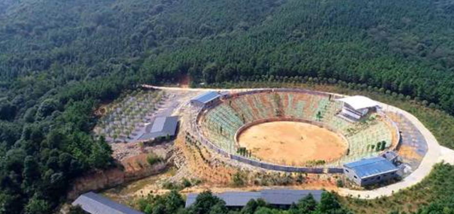 砸400万升官，被查时叫嚷“我以后要当县委书记的”，永州赵文旺落马警示