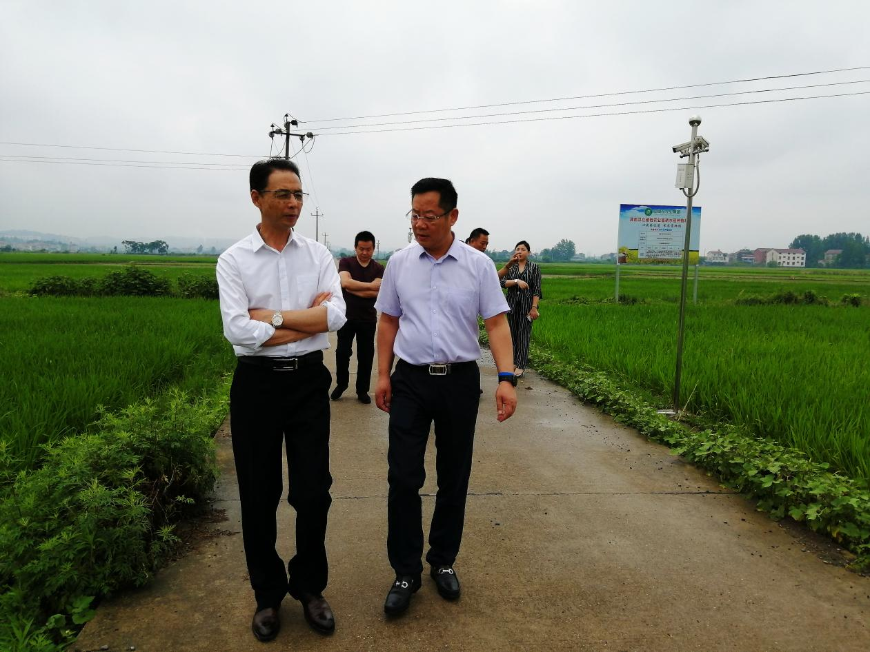 富硒农产业大有可为 湖北考察团到常德求取现代农业发展真经