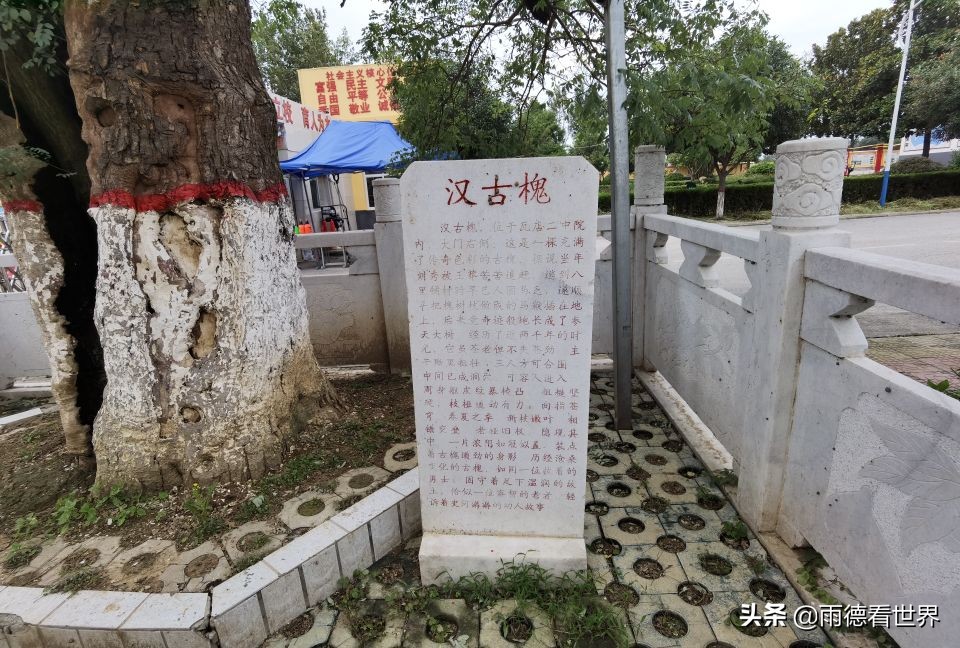 汉光武帝刘秀故里真在南阳，瓦店镇古白水村千年古树见证东汉故事