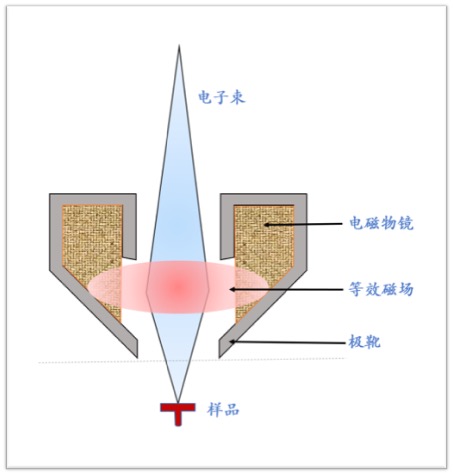 掃描電鏡與透射電鏡能否觀察磁性材料