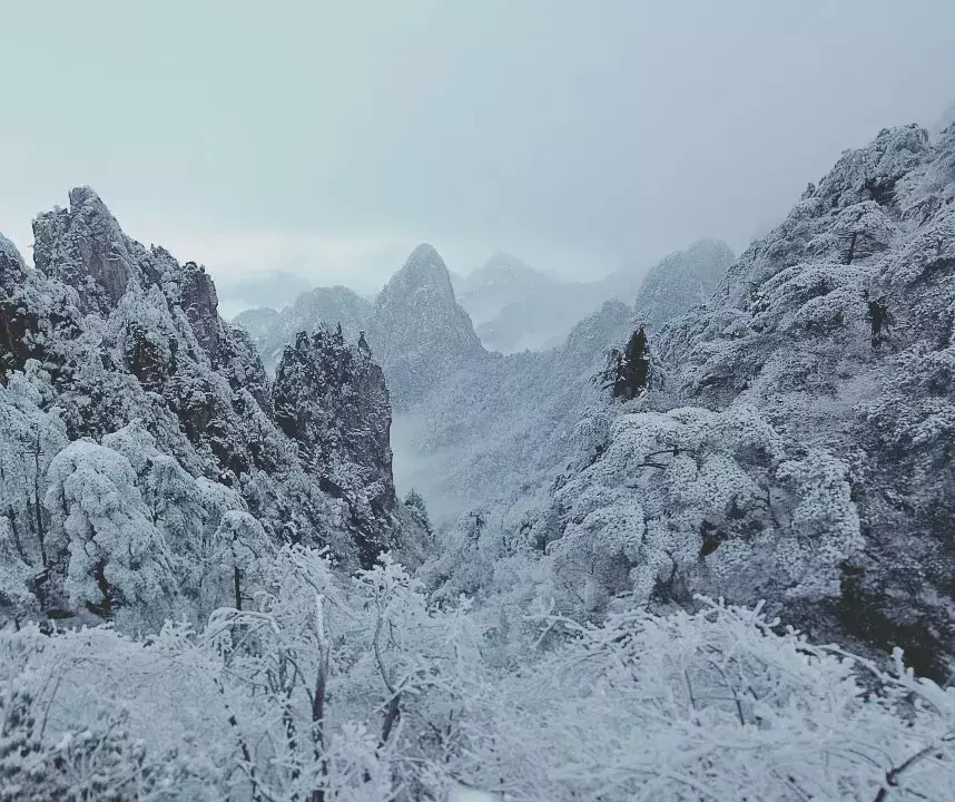 不用去看故宫的雪！钱塘江畔的冰雪霸屏了……美翻了整个江南！