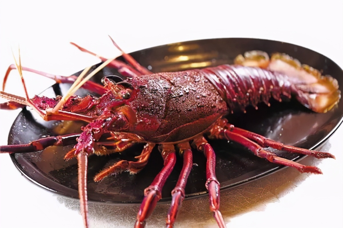 中国产的龙虾海鲜品种