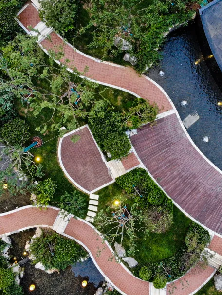 曾经播下的希望种子，此刻已枝繁叶茂