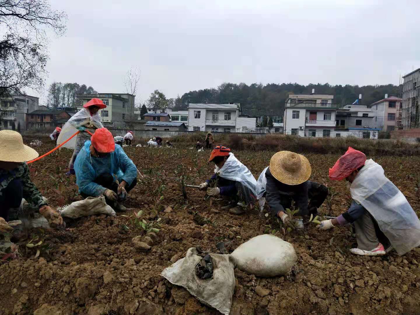 打造村民“向往的生活”阳新县浮屠镇将党史学习教育落到实处