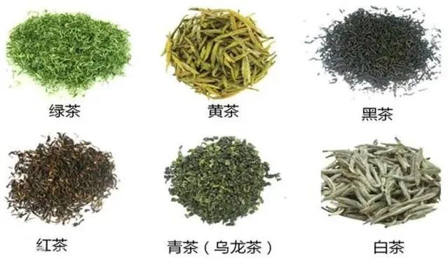 喝茶到底有益健康嗎？ 喝紅茶好，還是綠茶好？