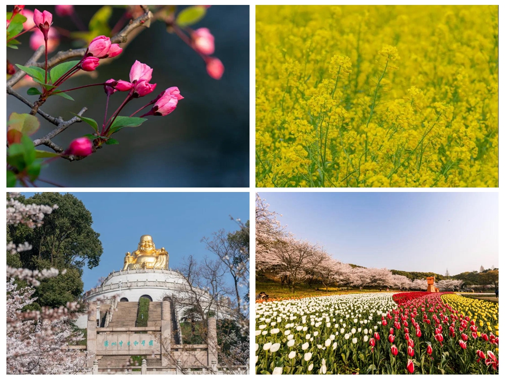 苏州上方山百花节火热进行 市植物园邀游客感受江南田园风情