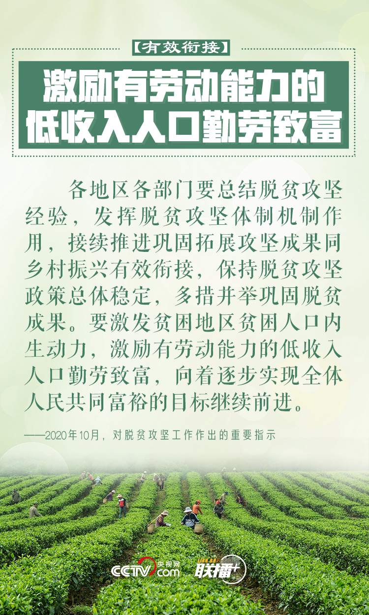 联播+｜做好乡村振兴大文章 习近平反复强调这四个字