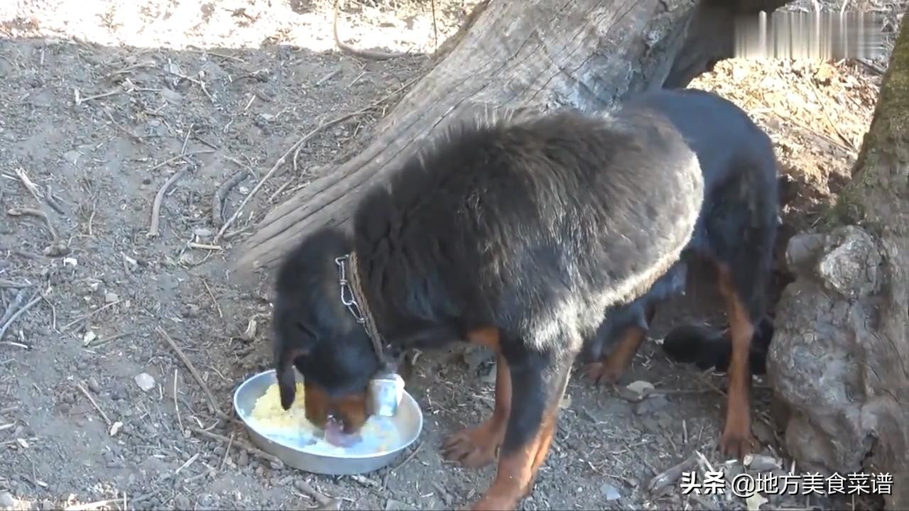 尼泊尔山区牧民特意用大米饭招待我，为表示感谢送他2000卢比