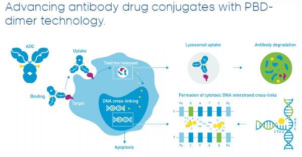 淋巴瘤特效药Lonca在美申请上市，缓解率达到48.3%