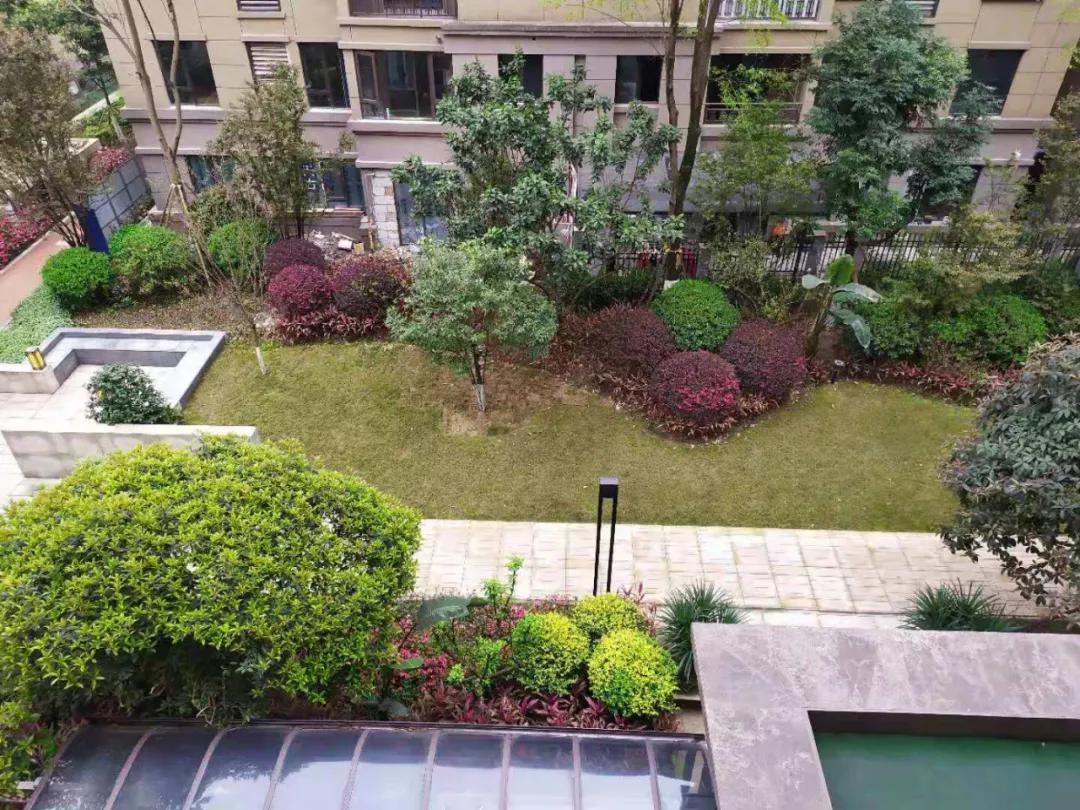 辞旧迎新|工地实拍:业主现场参观在施工地丨水电阶段