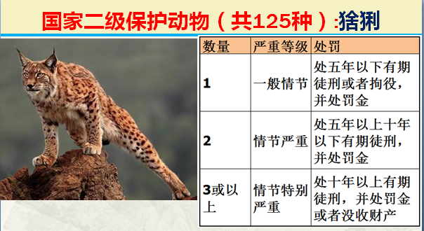 国家最新125类二级野生保护名录，图片及违法对应刑责