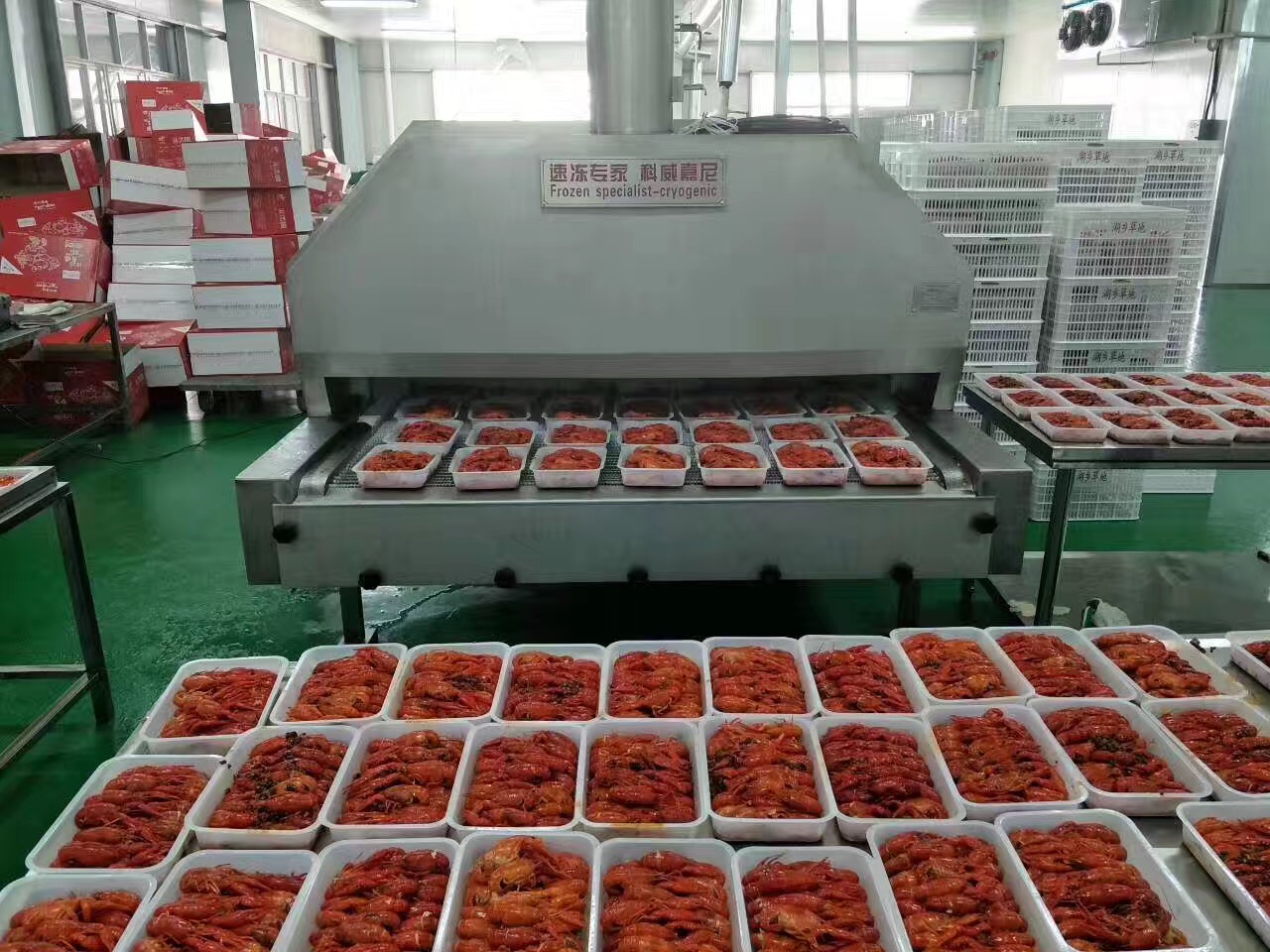液氮速凍鎖鮮工藝技術(shù)設(shè)備考察須知