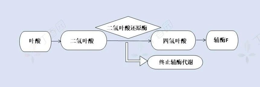 抗代谢类抗**药有哪些，你知道吗？