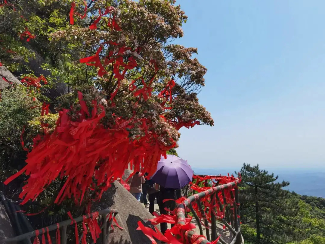 江西灵山景区推出教师节专属免费入园福利