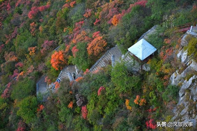 進入最佳觀賞期 中國紅葉聯盟景區河南僅一家 是香山姊妹景區 風景故事 Mdeditor