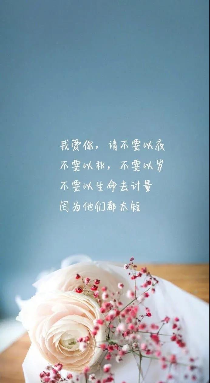 简短走心的句子 很暖很治愈的高情商句子图片