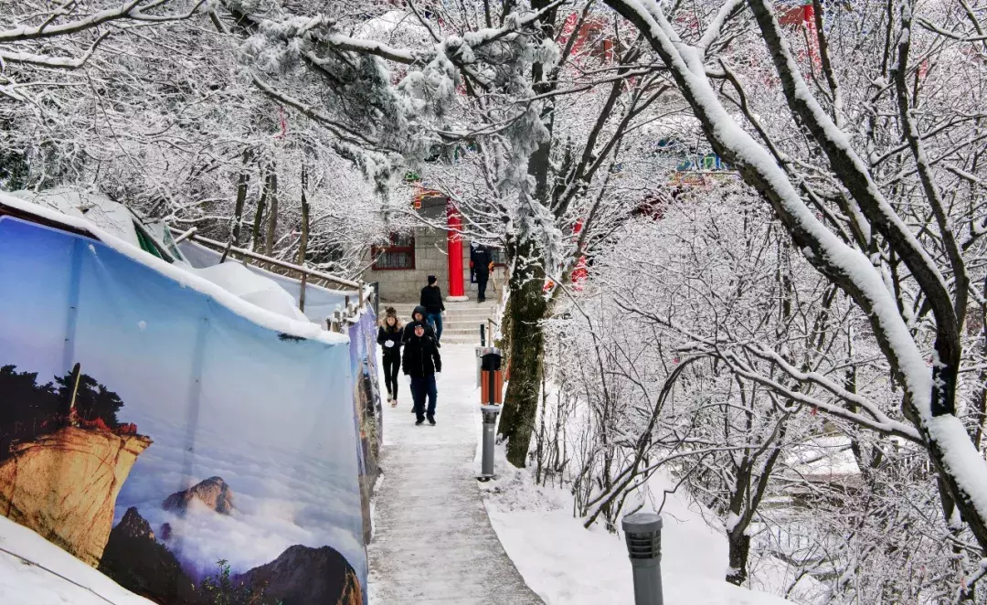 Mount Hua of ｜ of big beautiful Shaanxi and snow meet to be gotten the better of however the world countless