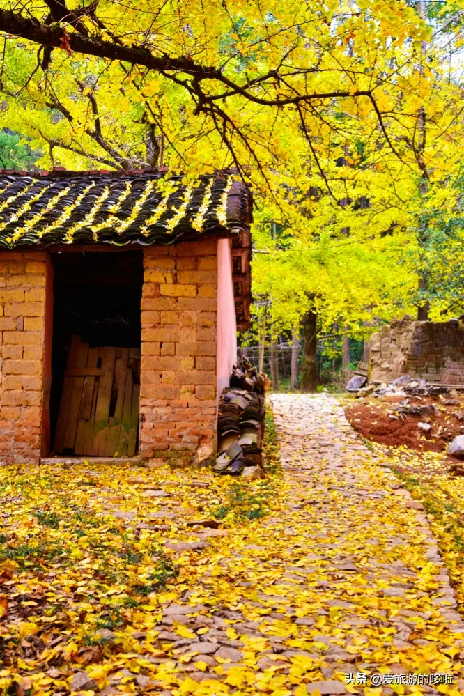 The best place to travel in October-November, the late autumn tour bus is about to depart