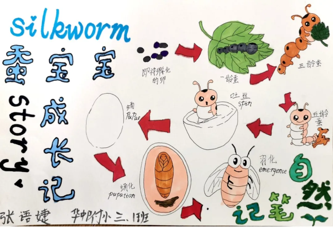 玩转科技节，开广好奇心——天府新区华中附小首届科创节活动