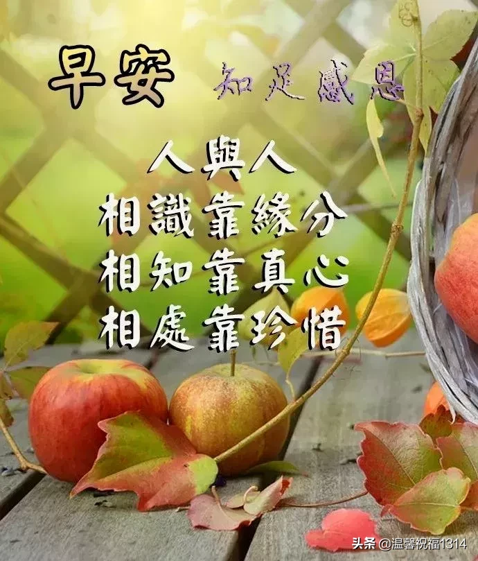 早上好唯美问候语 早安祝福语漂亮图片