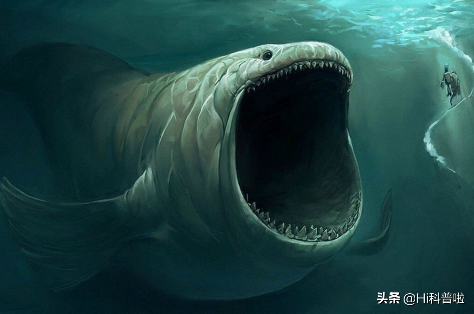 能生吃虎鲸和大白鲨,咬破美军潜艇,它们是来自深海的恐怖动物