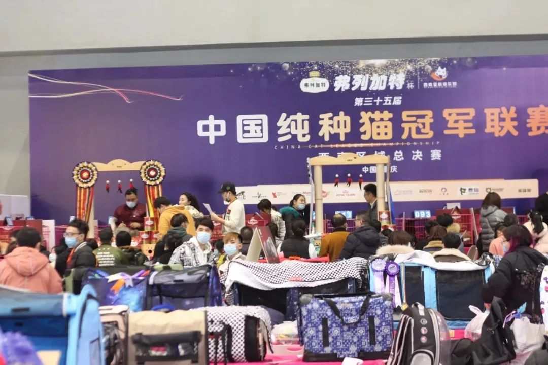 CPF西部重庆展 | 当下可为 未来可期，全力以赴只为更精彩的绽放