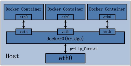 Docker-10-网络类型