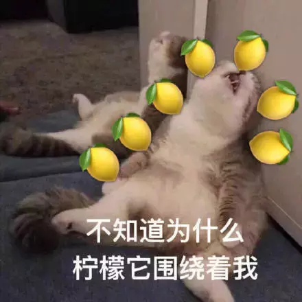 这些裤子就能搭配所有上衣!