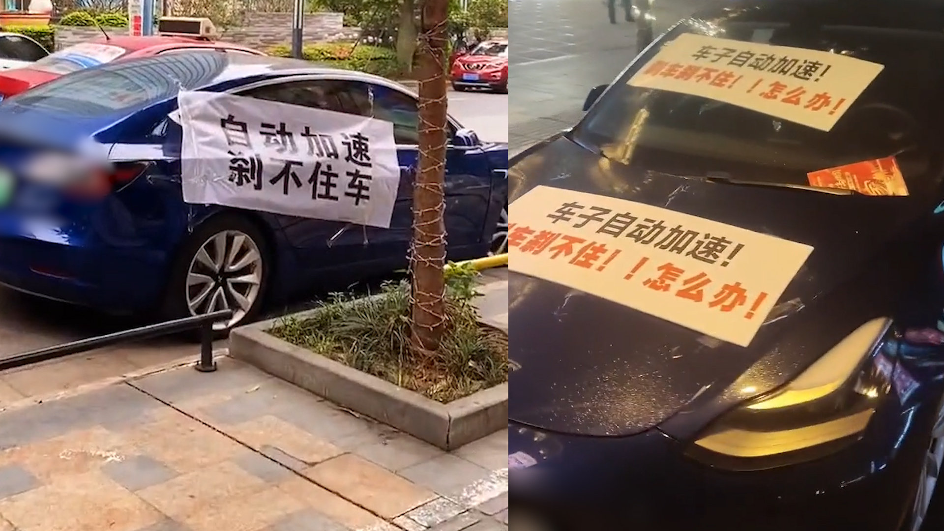 特斯拉：“决不妥协”的副总裁陶琳究竟有何来头？