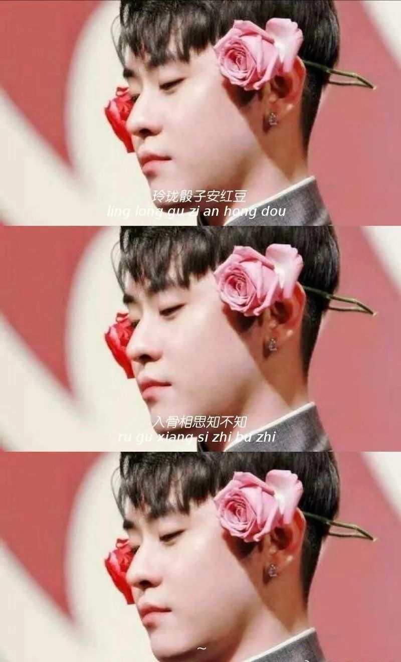 Wallpaper comes to Zhang Yunlei