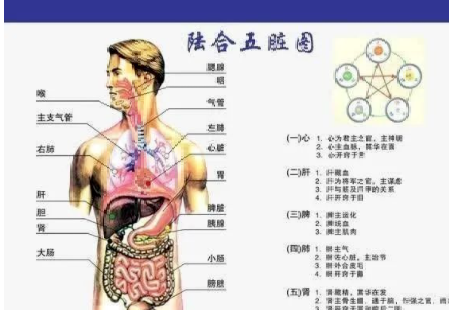 美国宣布：中医经络被发现，世界医学将进入新时代-第3张图片-农百科