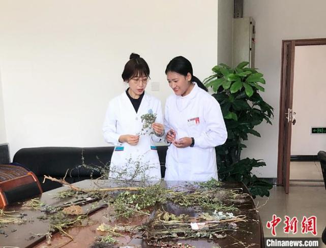 西藏藏医药专家：传承创新藏医药信心更坚定