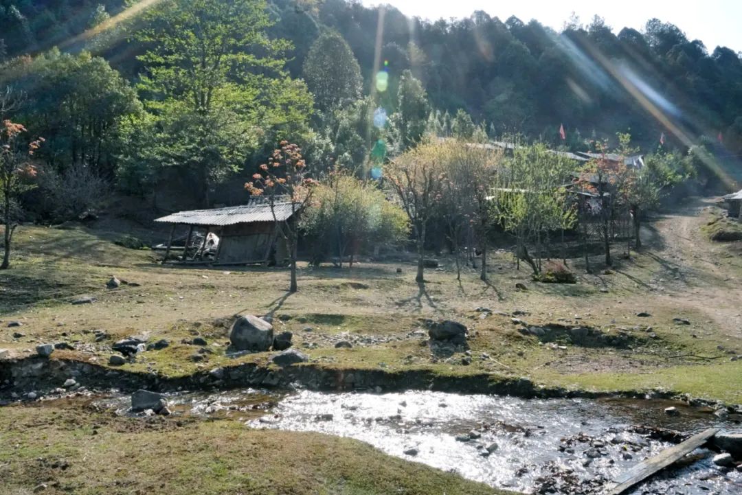 硬核！央视《味道》拍摄在腾冲完美收官！