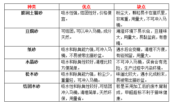 辟謠！貓咪隨地大小便是因為發情？性情大變有可能是你的錯