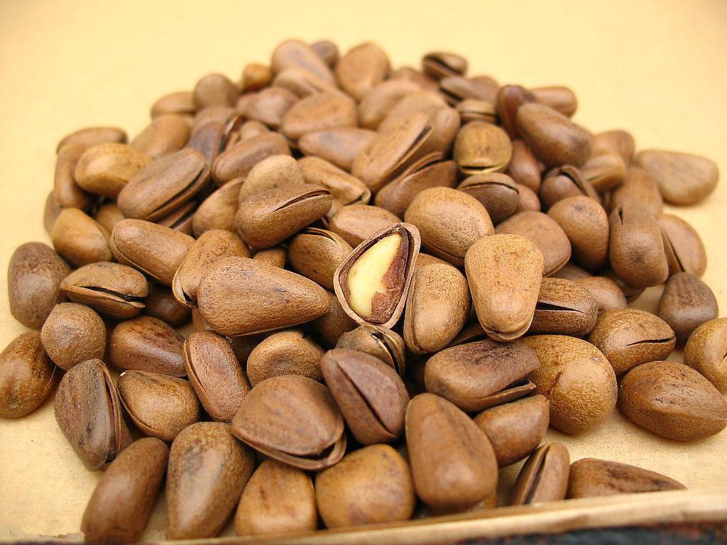 不想小肚子鼓鼓，堅持吃這幾種食物，清腸排便一身輕