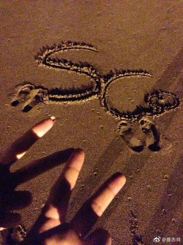 罗志祥：我的身体，出了轨，我的文字，还爱她