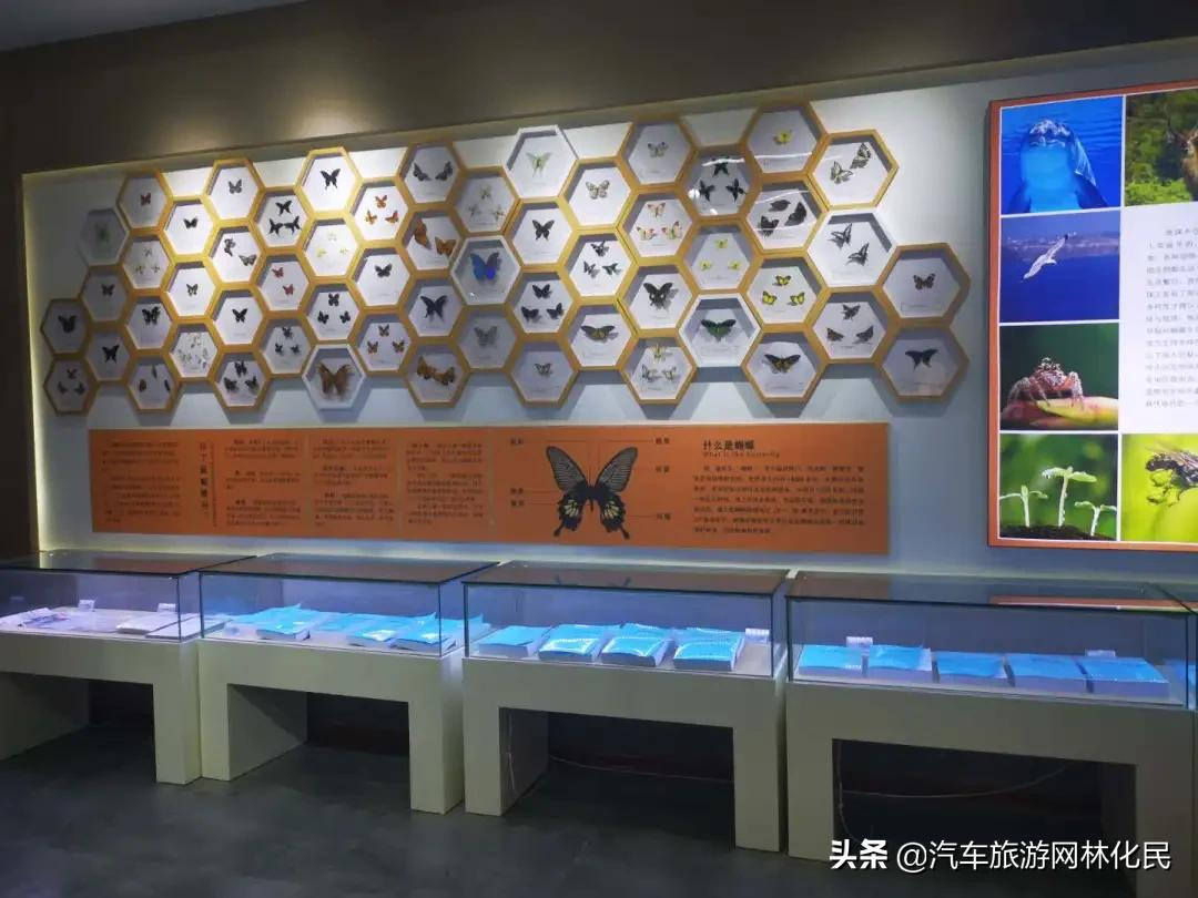 沂蒙马泉休闲园万亩樱桃花开,门票免费送啦