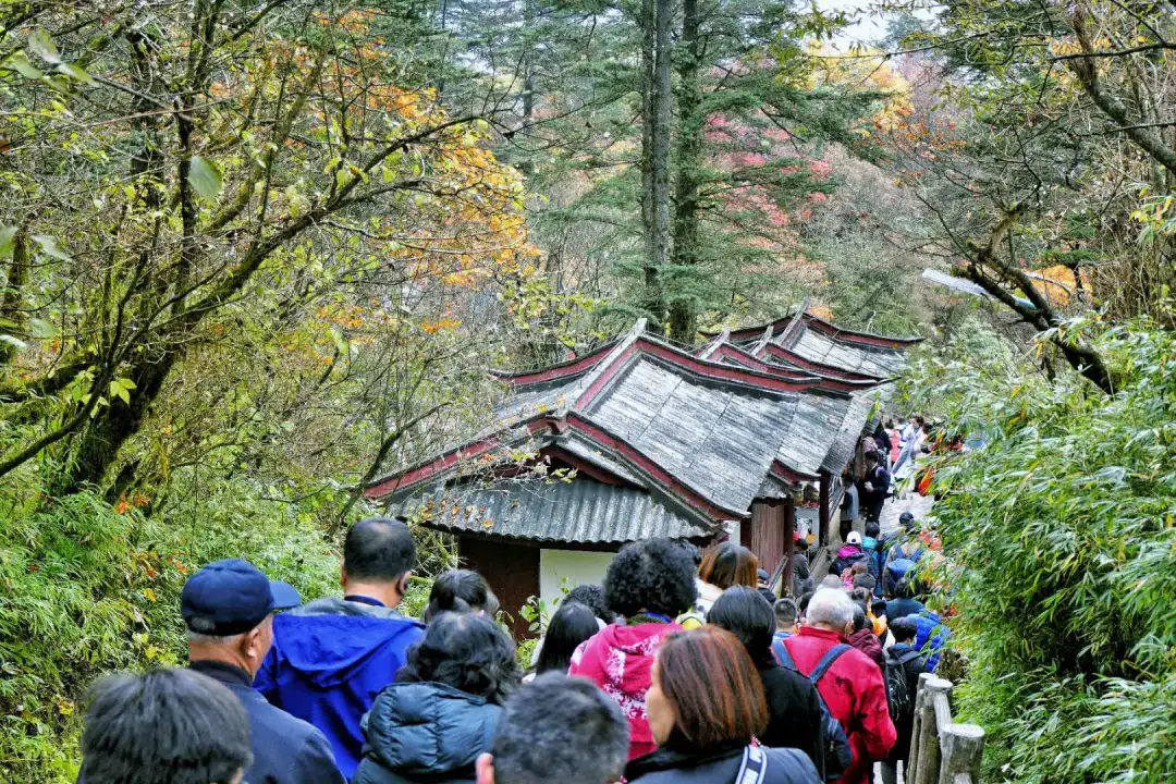 没想到,峨眉山以这样的方式告别秋天