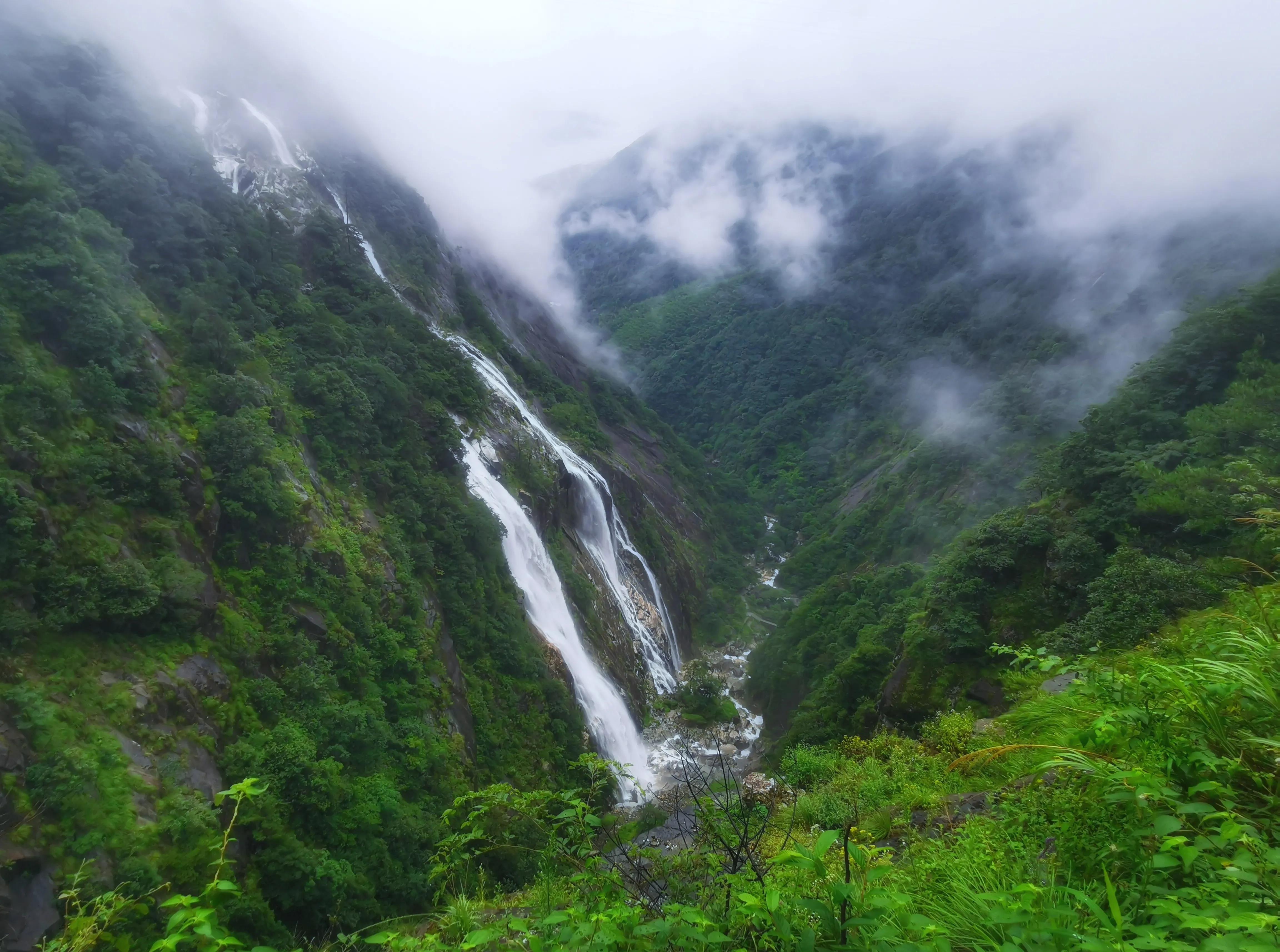 夏天去婺源：920米鄣山村避暑，13公里密林穿越，雨天看卧龙美景