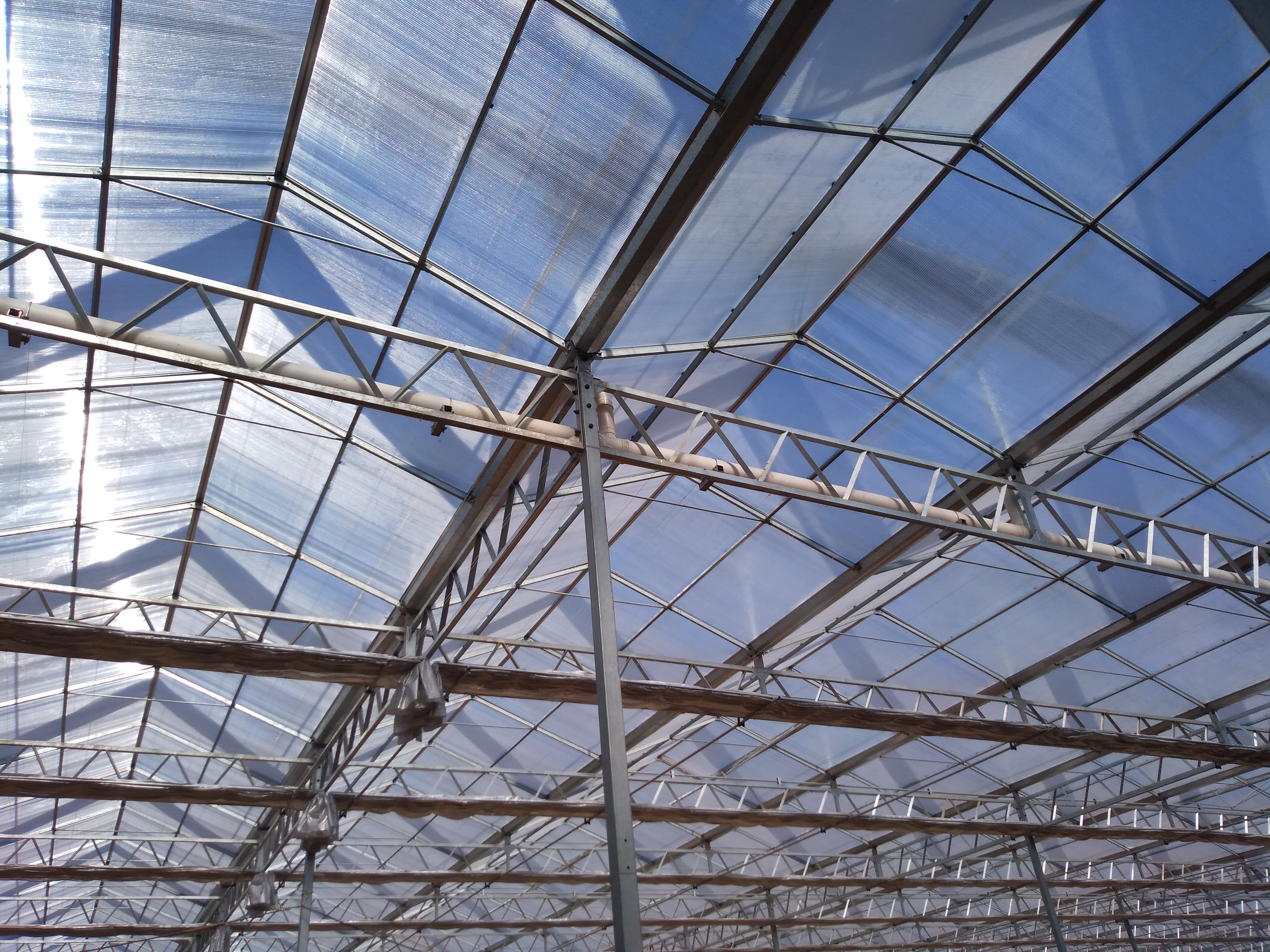 venlo型玻璃温室百科之温室结构单元以及温室骨架配件介绍