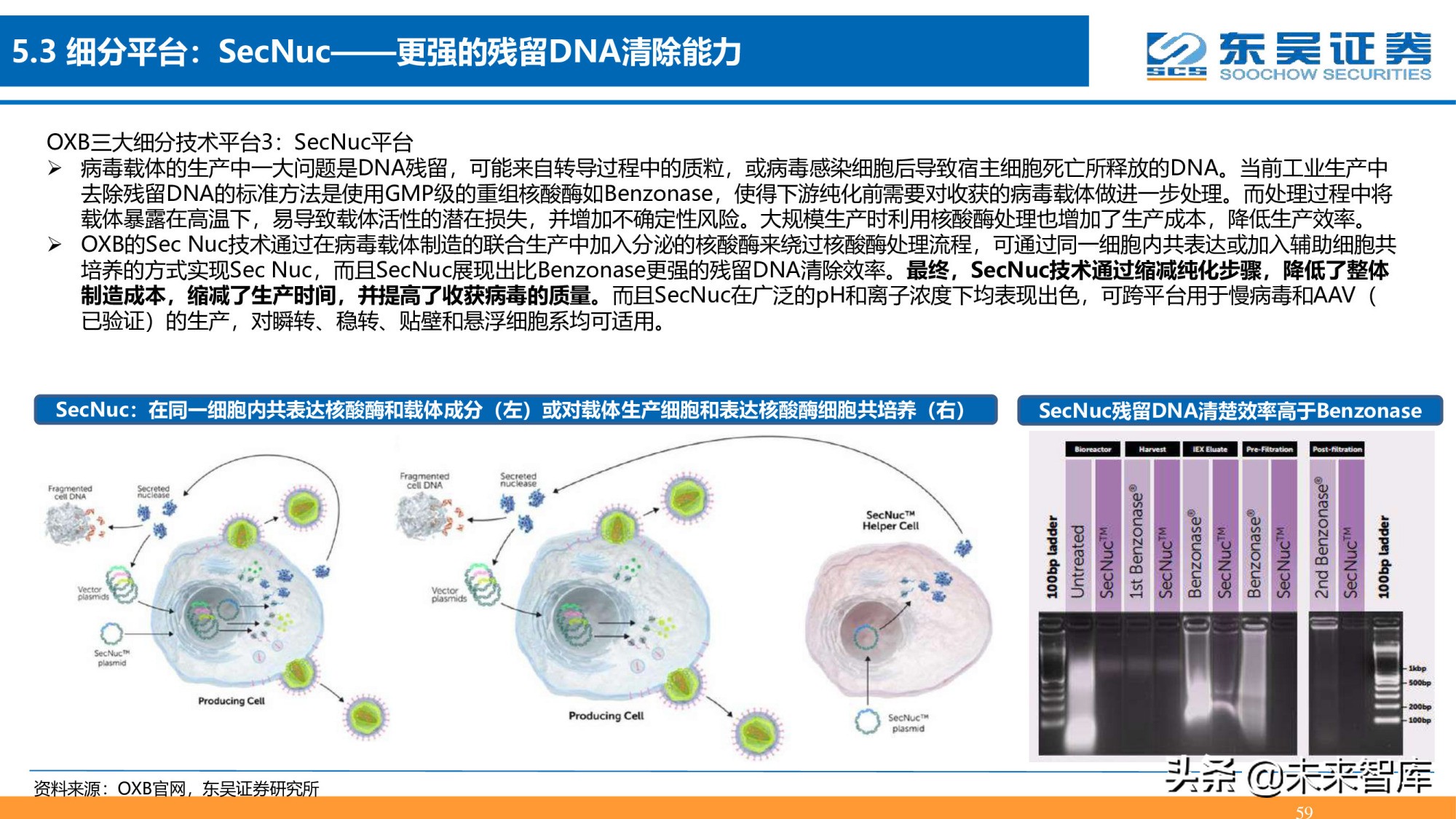 细胞基因治疗CDMO行业深度报告：星火已成燎原势