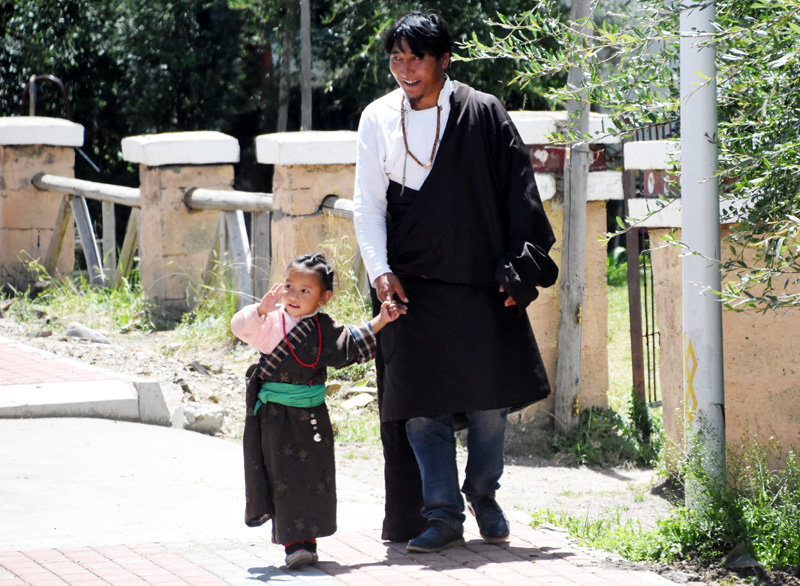 四川旅游：走进阿坝州红原大草原（图）